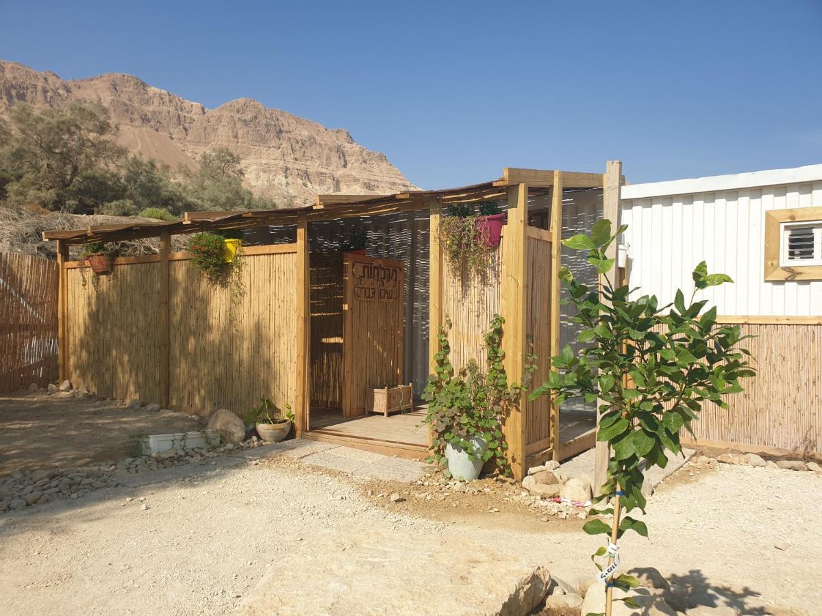 Ein Gedi Caravan By Dory Caravan Exteriör bild